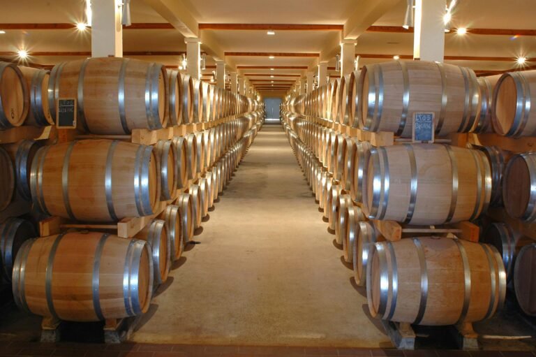 Cellar